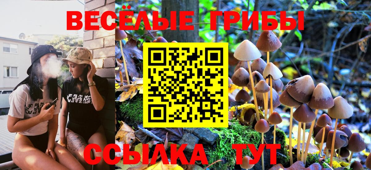 Псилоцибиновые грибы мицелий Чапаевск